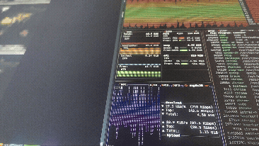Animated terminal and system monitoring workspace